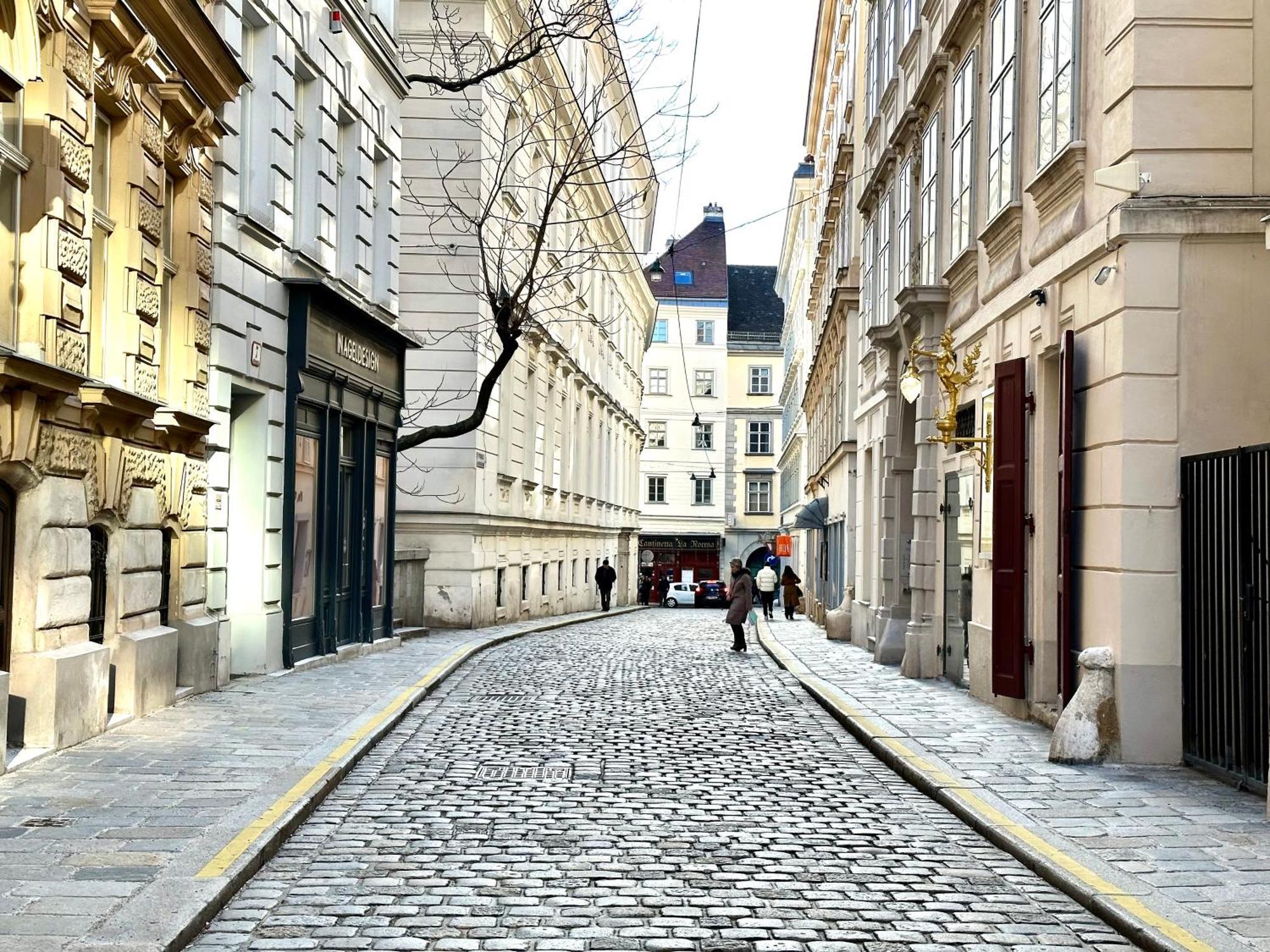 Central Stephansdom Apartment I Netflix I Self Check In Wien Exterior foto
